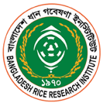 BRRI